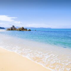 Balenciaga(バレンシアガ)やLouis Vuitton(ルイヴィトン)の小さい財布を持って、今年の夏お出かけしましょー‼